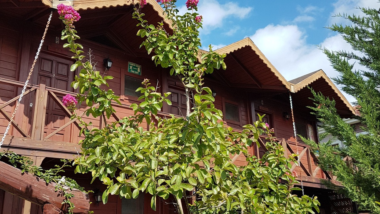 Photo of Outdoor in Agva