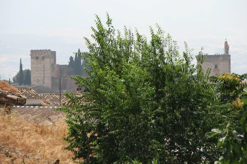 Photo of Others in Beiro