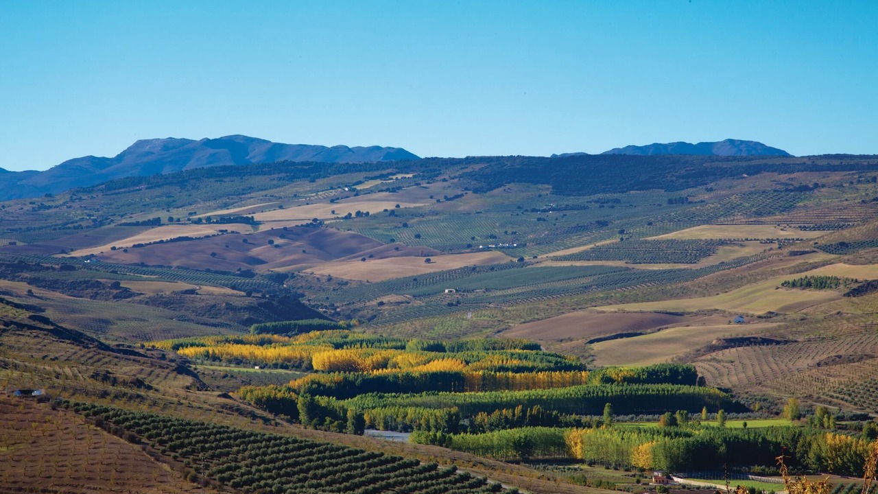 Photo of Outdoor in Cacin