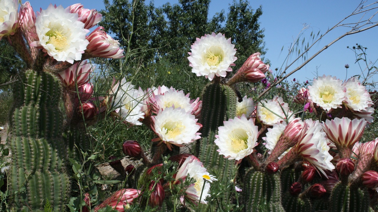 Photo of Outdoor in Sorvilan