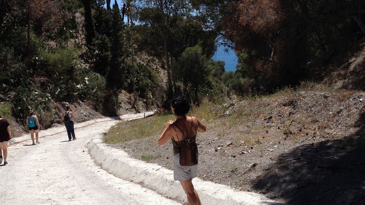 Photo of Others in Sorvilan