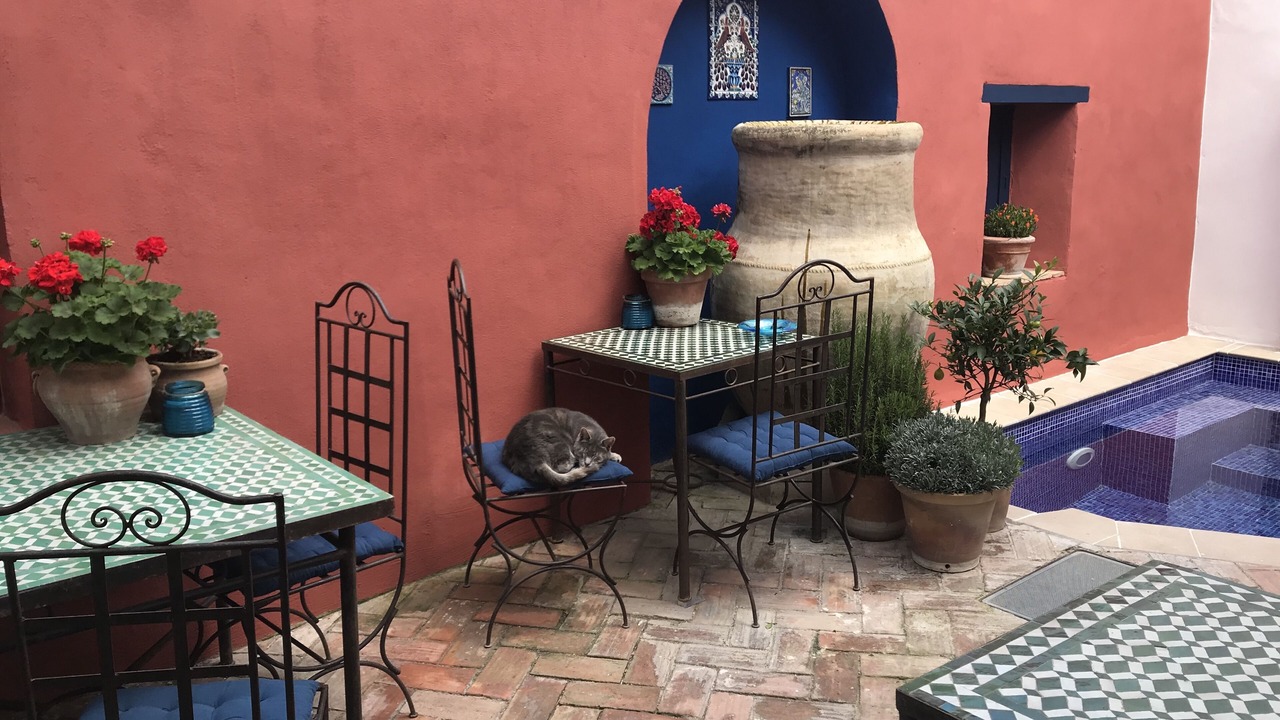 Photo of Others in Pinos del Valle