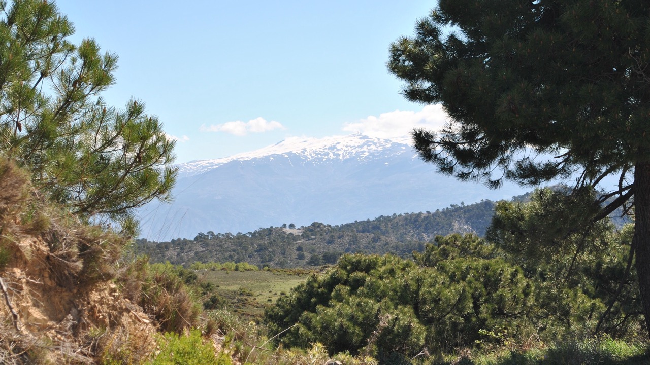 Photo of Others in Pinos del Valle