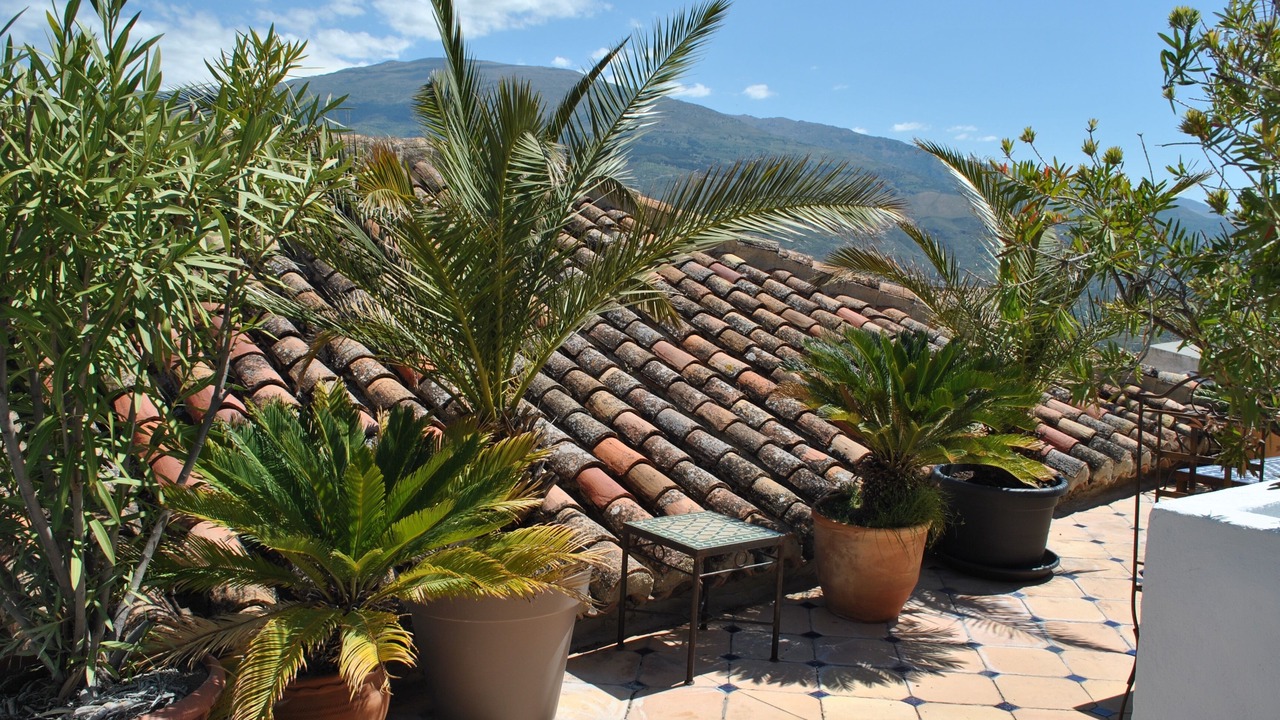 Photo of Outdoor in Pinos del Valle