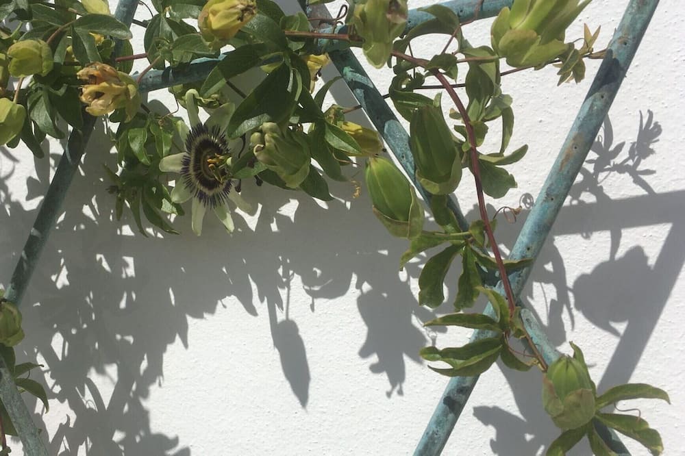 Photo of Outdoor in Moclin