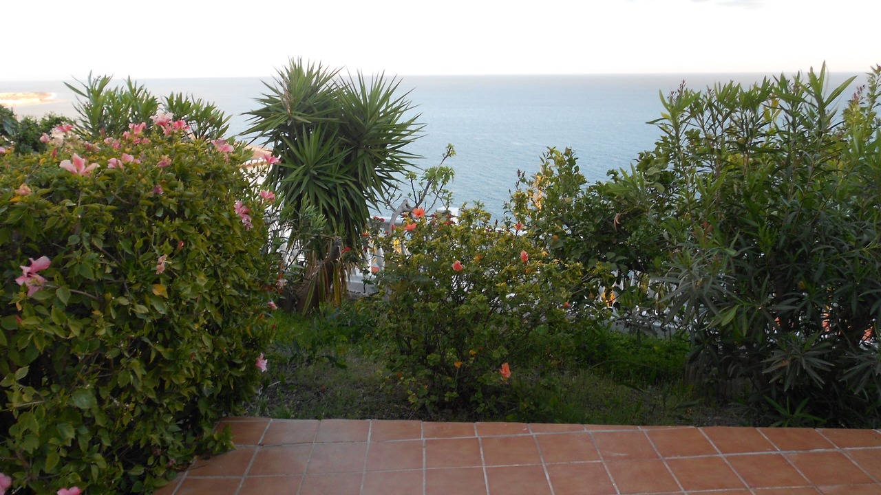 Photo of Outdoor in Salobrena