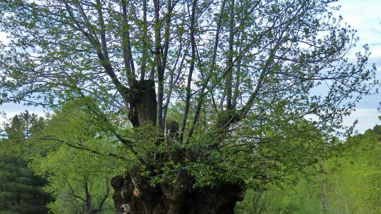 Photo of Outdoor in La Calahorra
