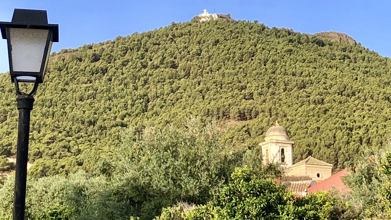 Photo of Outdoor in Pinos del Valle