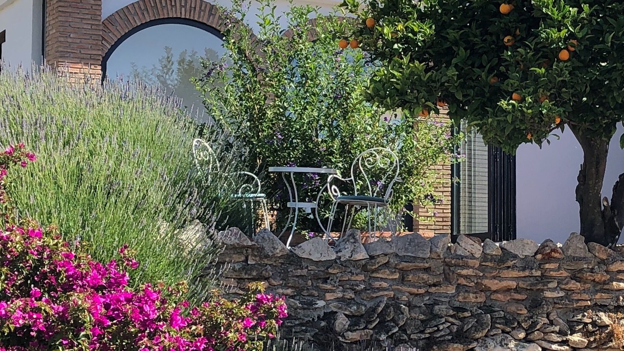 Photo of Outdoor in Pinos del Valle