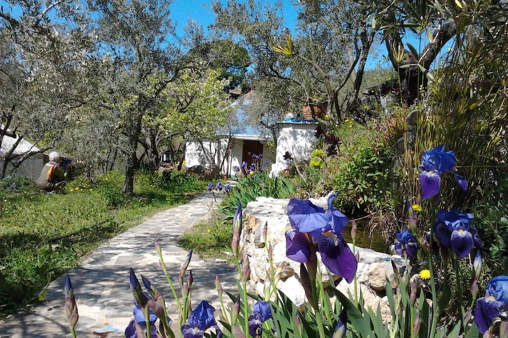 Photo of Outdoor in Lanjaron