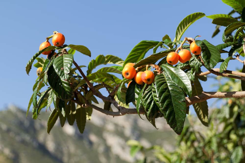 Photo of Outdoor in Lentegi