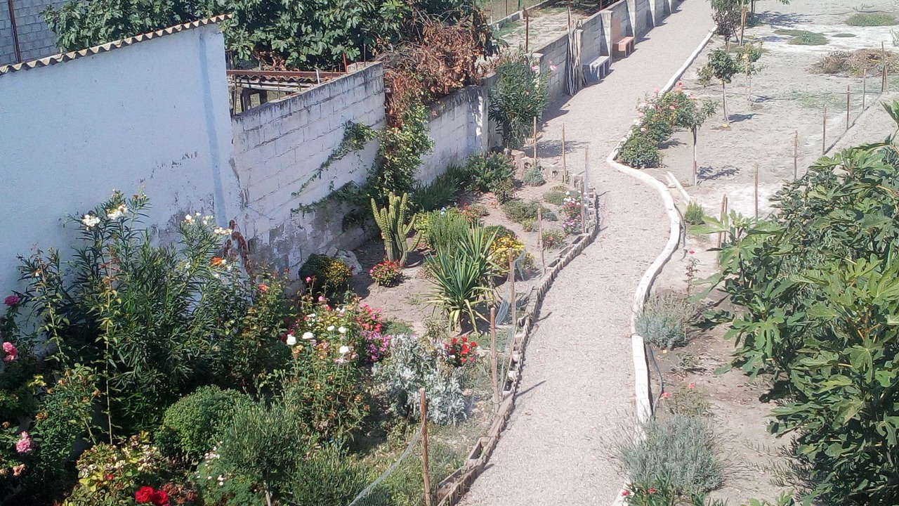 Photo of Outdoor in Fuente Vaqueros