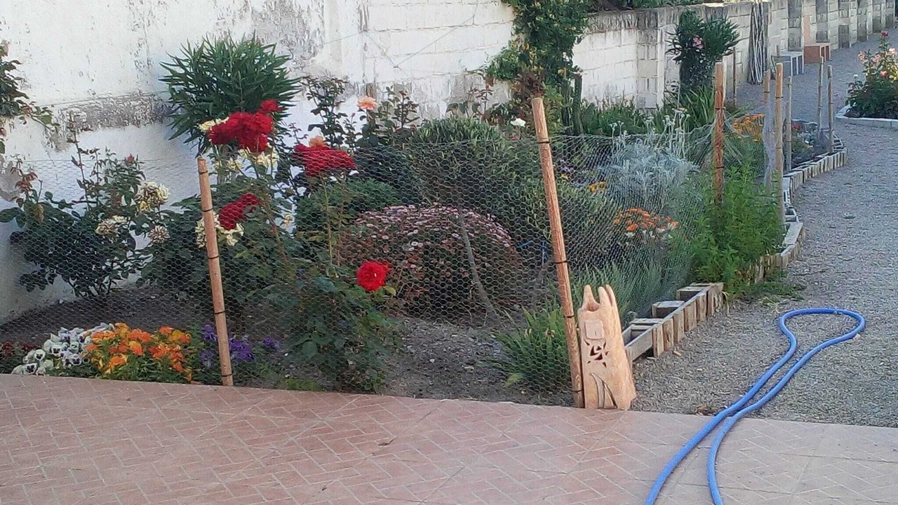 Photo of Outdoor in Fuente Vaqueros