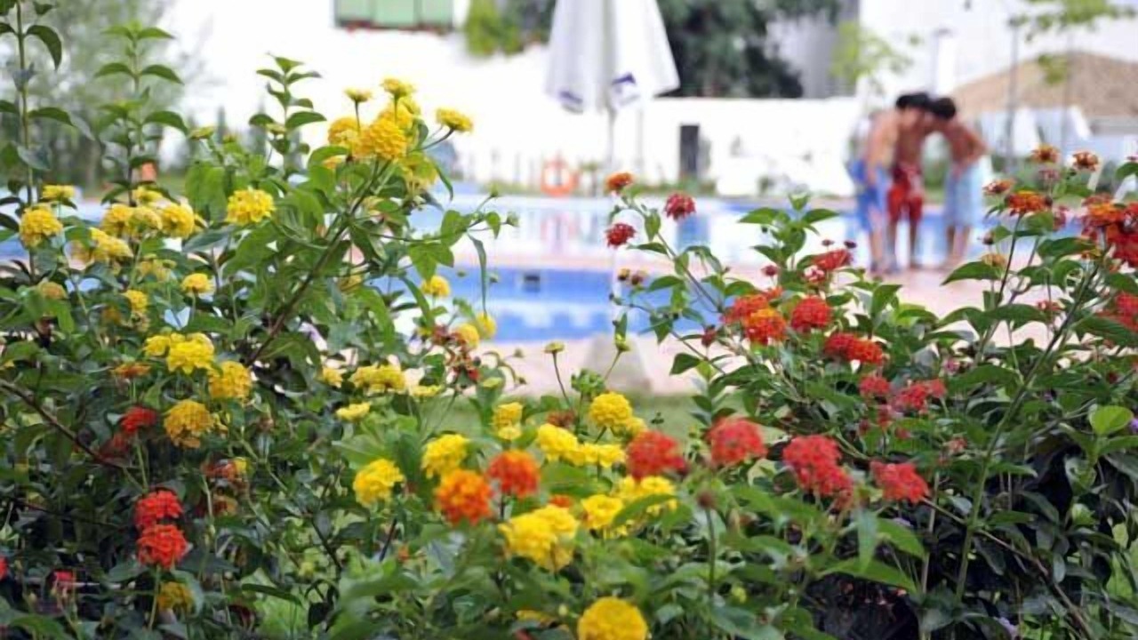 Photo of Outdoor in Lanjaron
