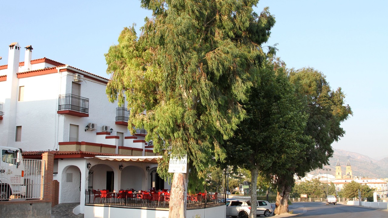 Photo of Outdoor in Orgiva