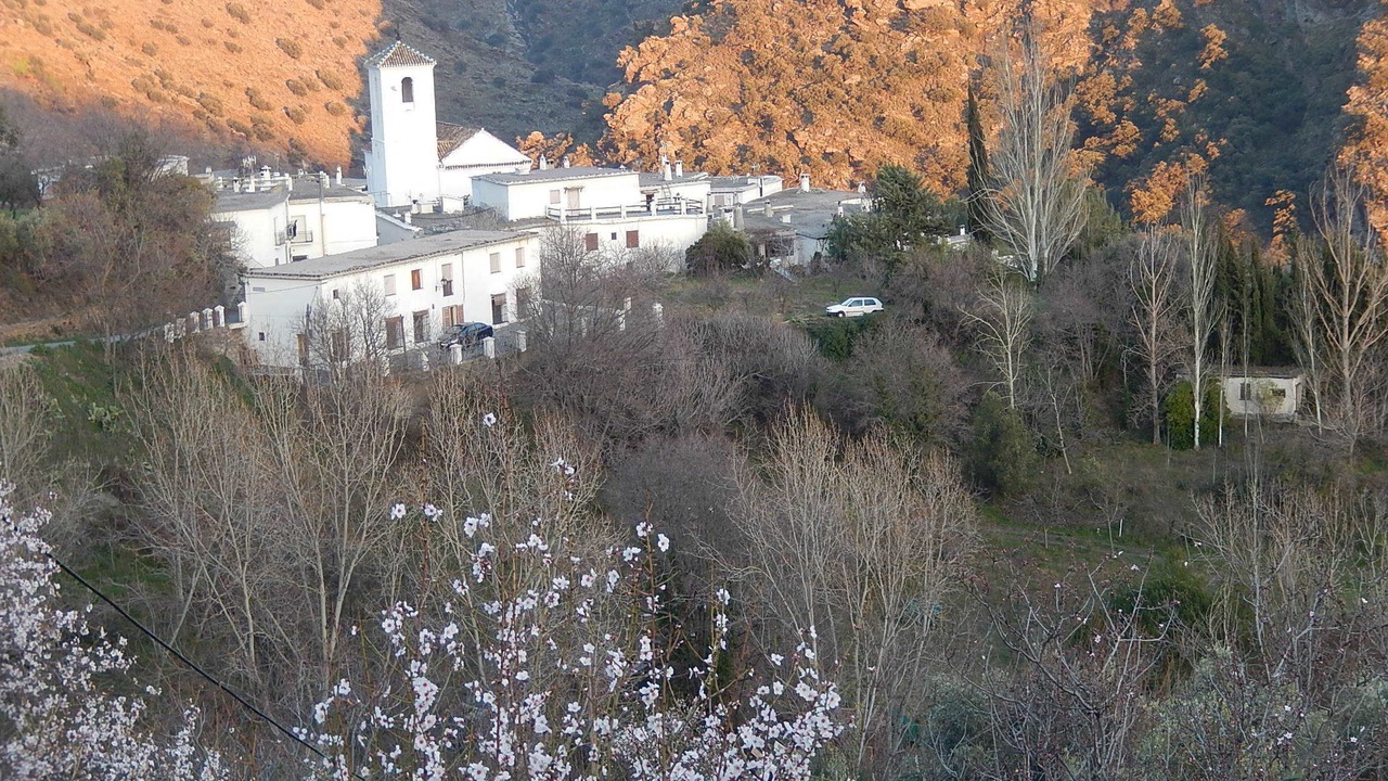 Photo of Outdoor in Mecina Fondales