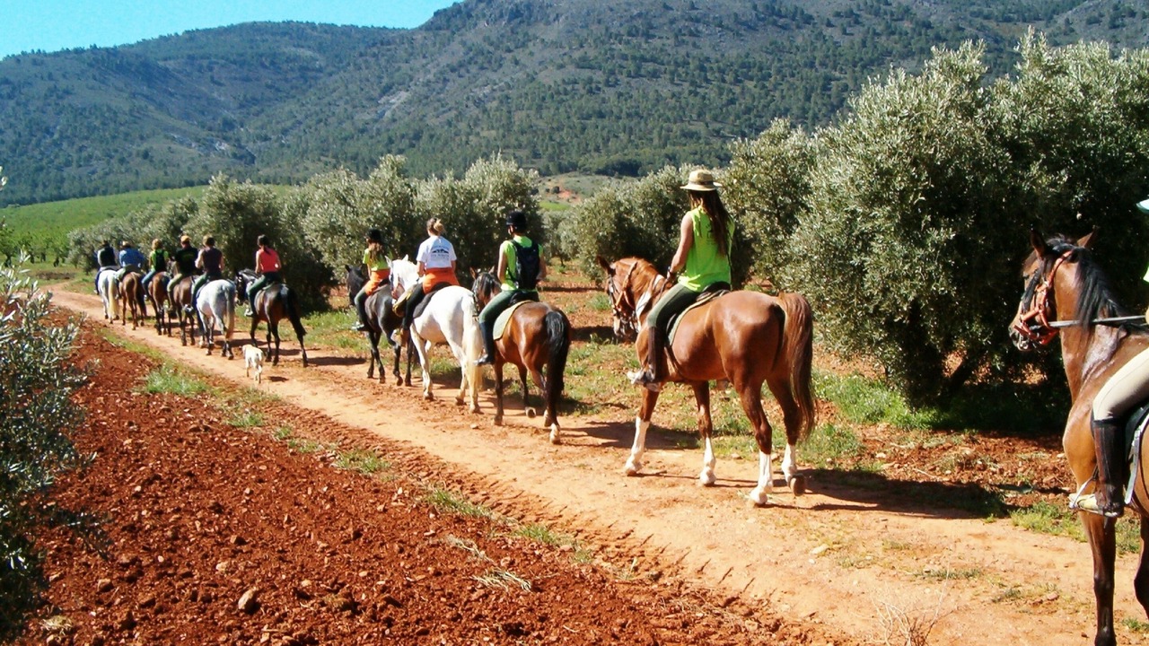 Photo of Others in Dilar