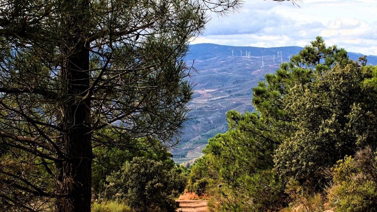 Photo of Outdoor in Lecrin