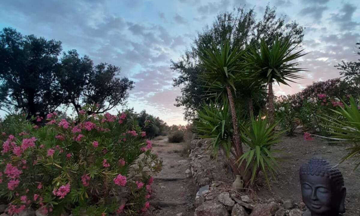 Photo of Outdoor in Lecrin