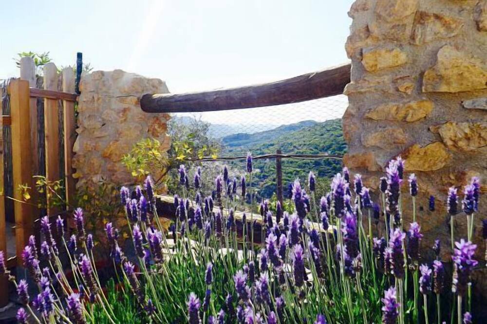 Photo of Outdoor in Lanjaron