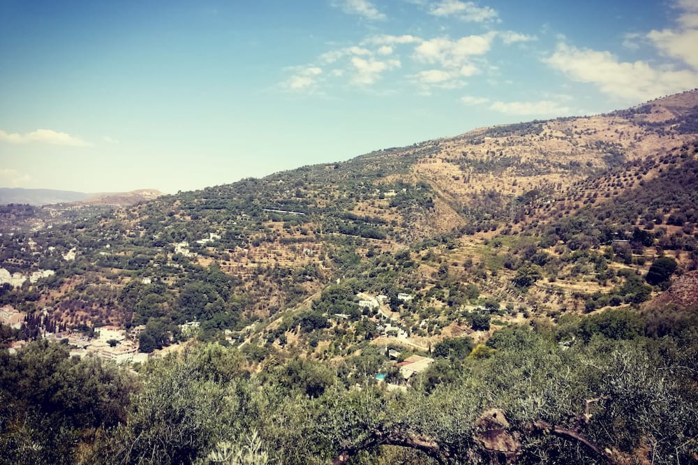Photo of Others in Lanjaron