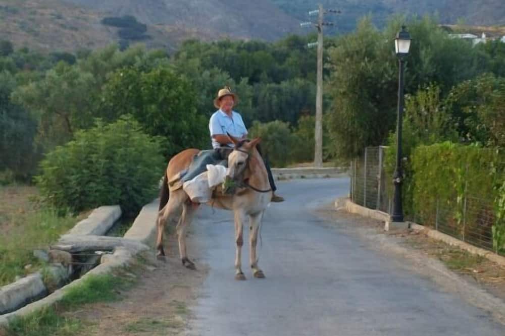 Photo of Others in Lobras