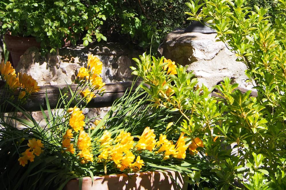 Photo of Outdoor in Lobras