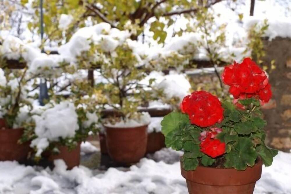 Photo of Outdoor in Lobras