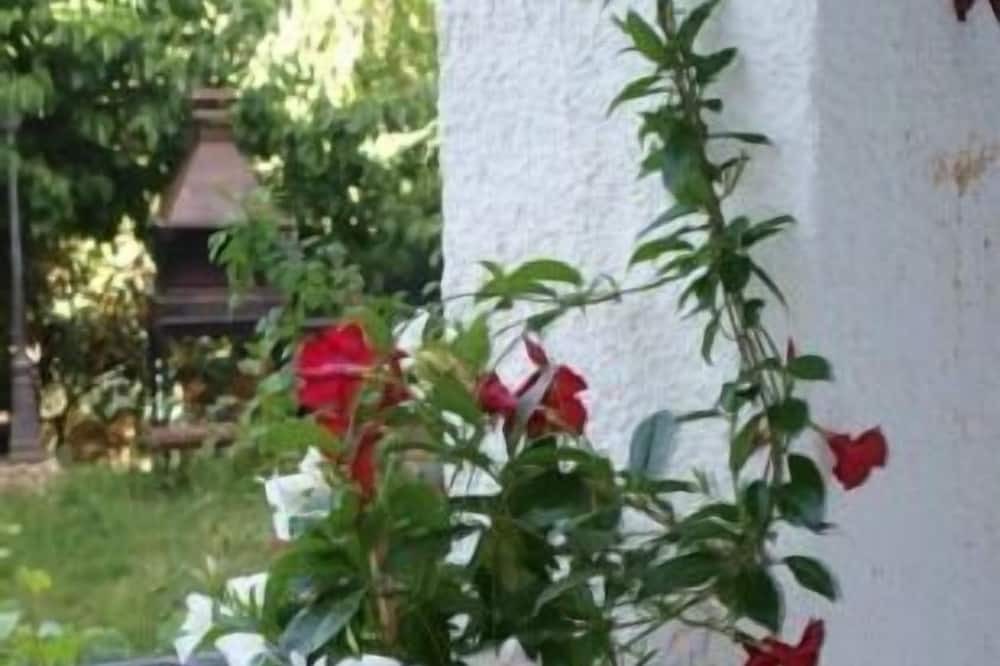 Photo of Outdoor in Lobras