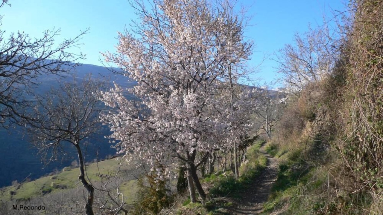 Photo of Outdoor in Bubion