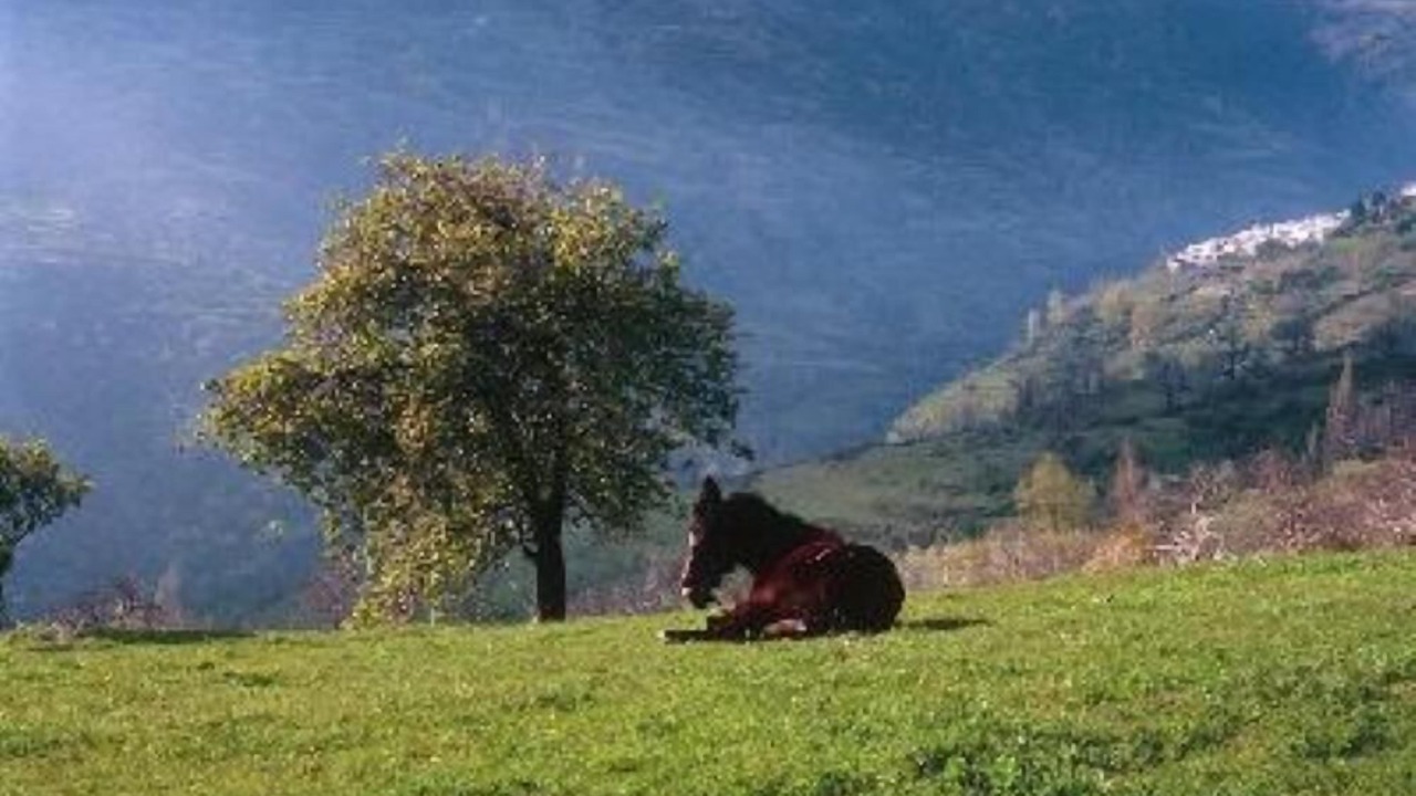 Photo of Outdoor in Bubion