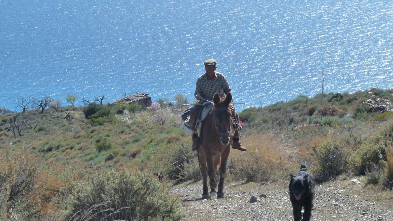 Photo of Others in Sorvilan