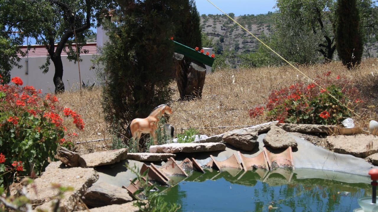 Photo of Outdoor in Sorvilan
