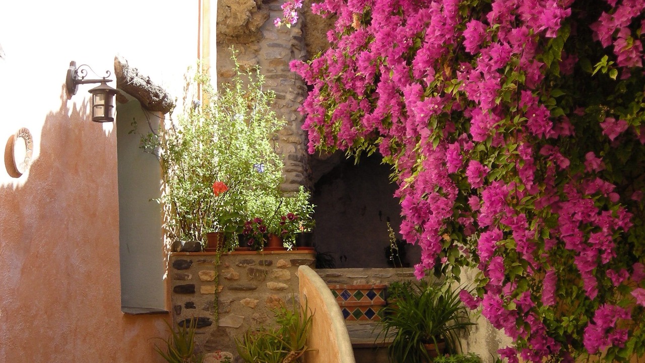 Photo of Outdoor in Guajar Faraguit