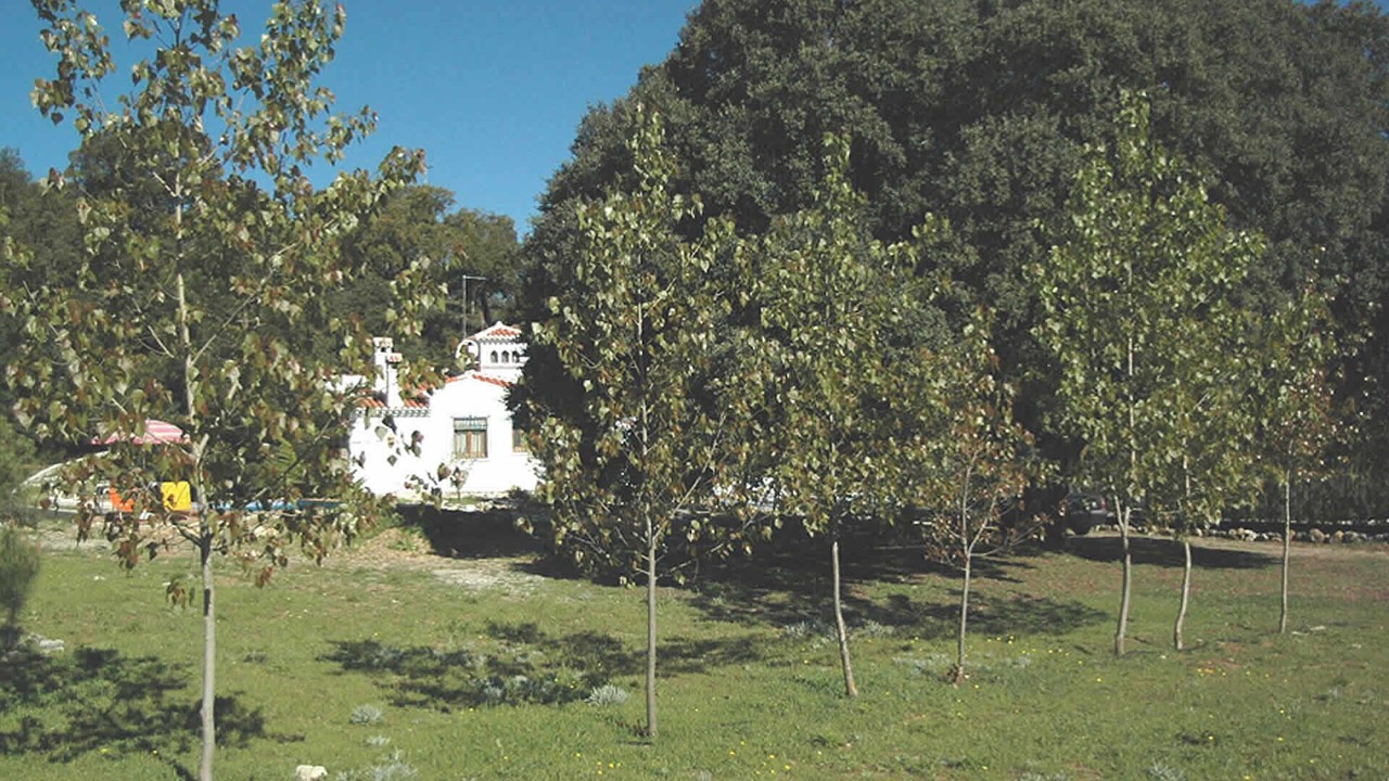 Photo of Outdoor in Alhama de Granada