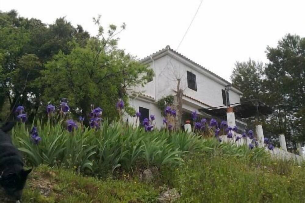 Photo of Outdoor in Illora