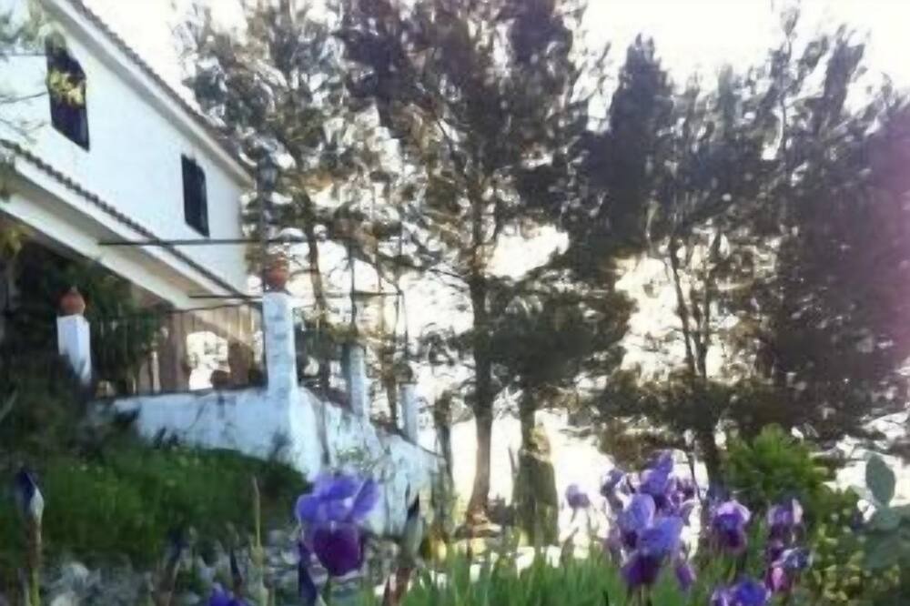 Photo of Outdoor in Illora