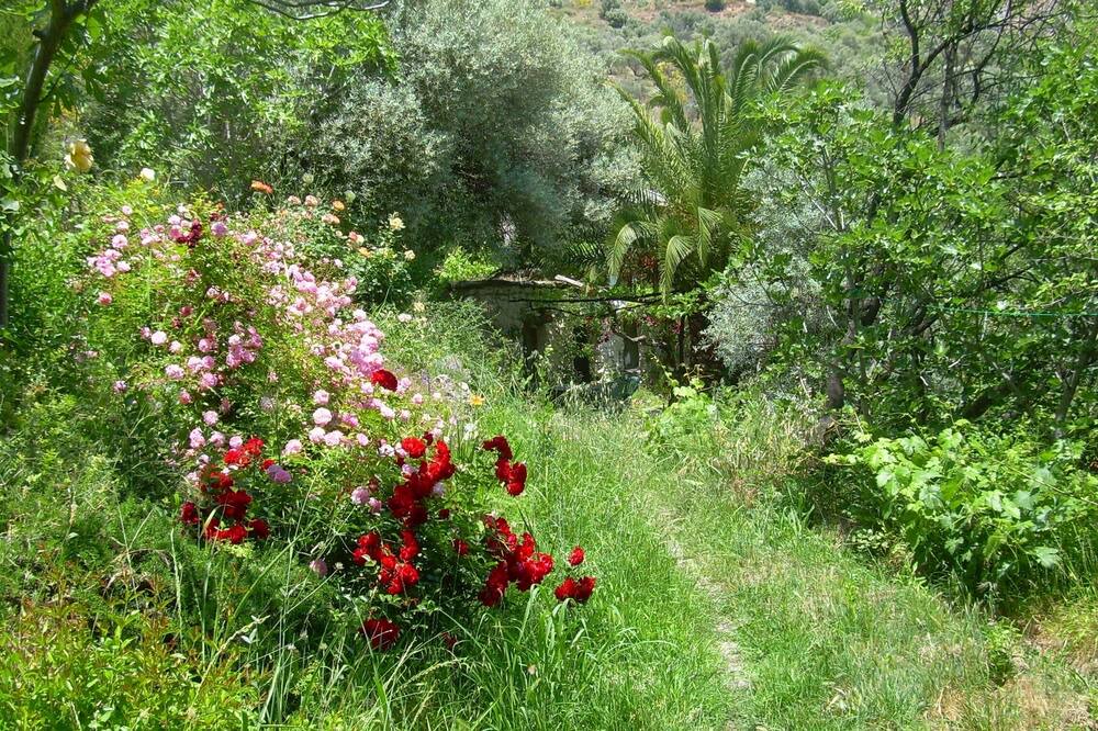 Photo of Others in Orgiva