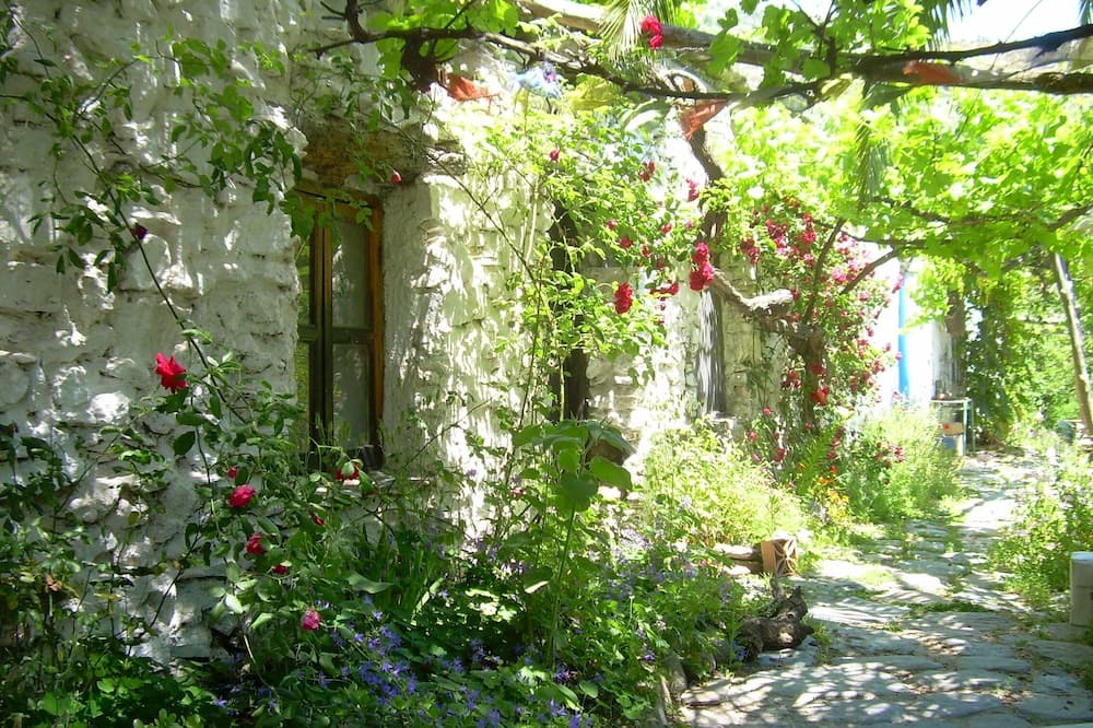 Photo of Others in Orgiva