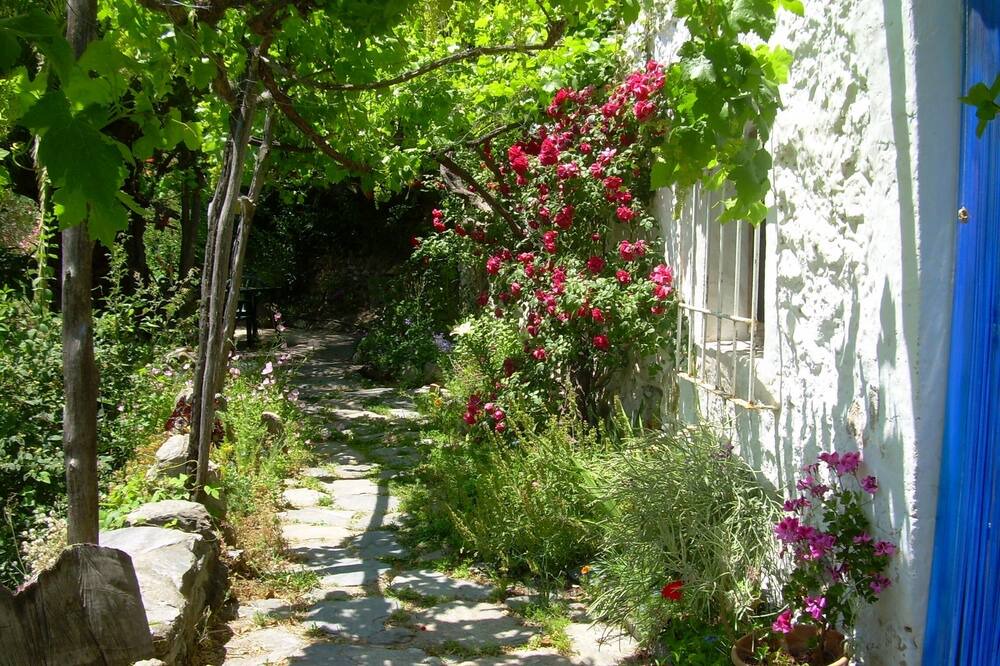 Photo of Others in Orgiva