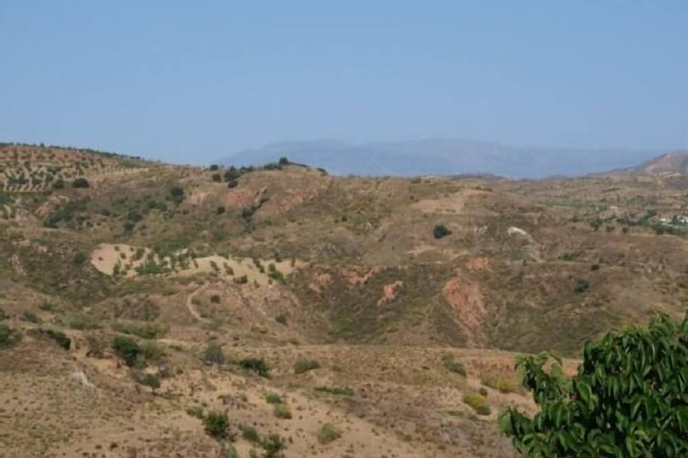 Photo of Others in Lobras
