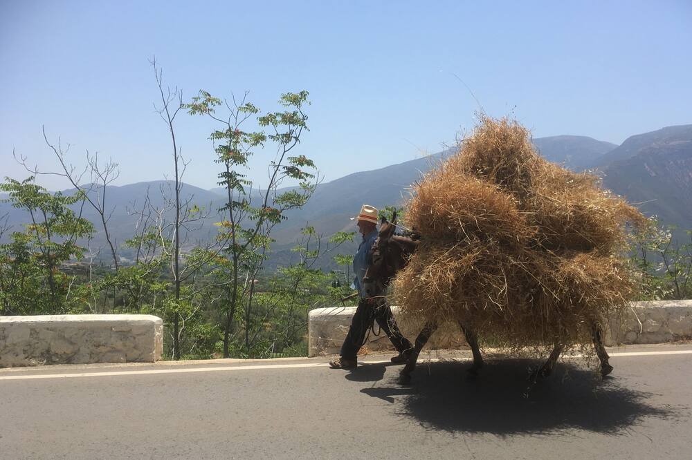 Photo of Others in Orgiva