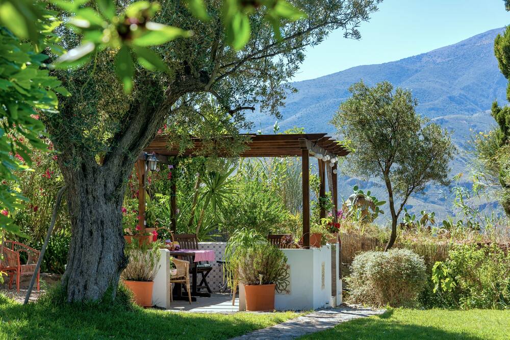 Photo of Outdoor in Orgiva