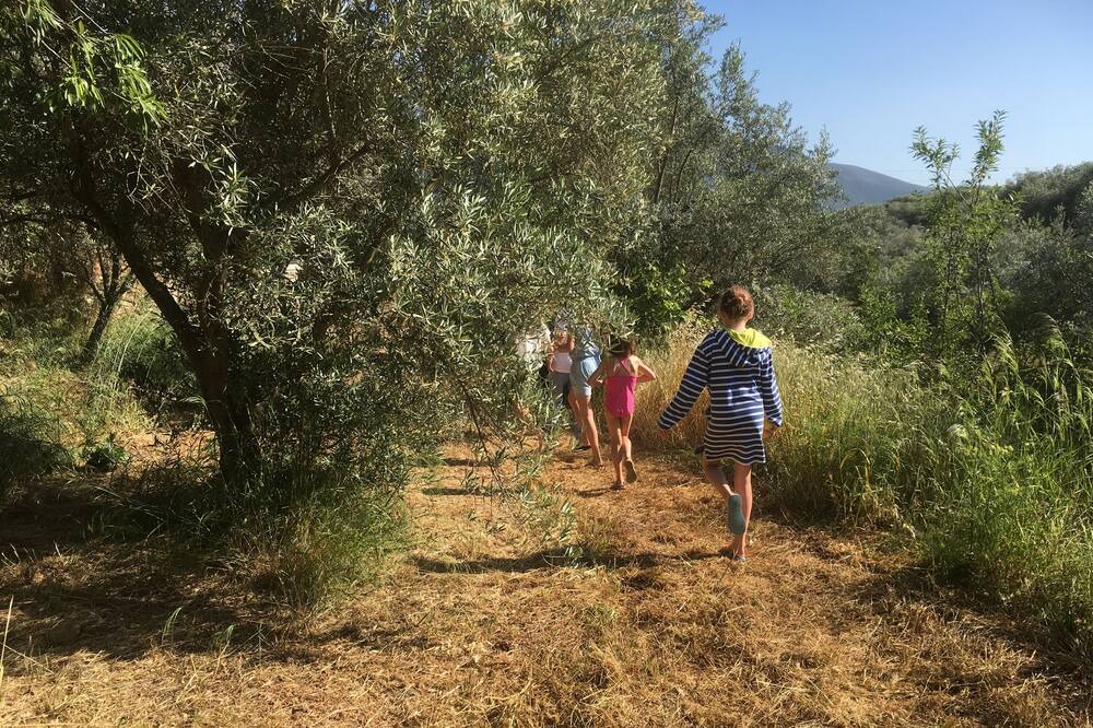 Photo of Others in Orgiva