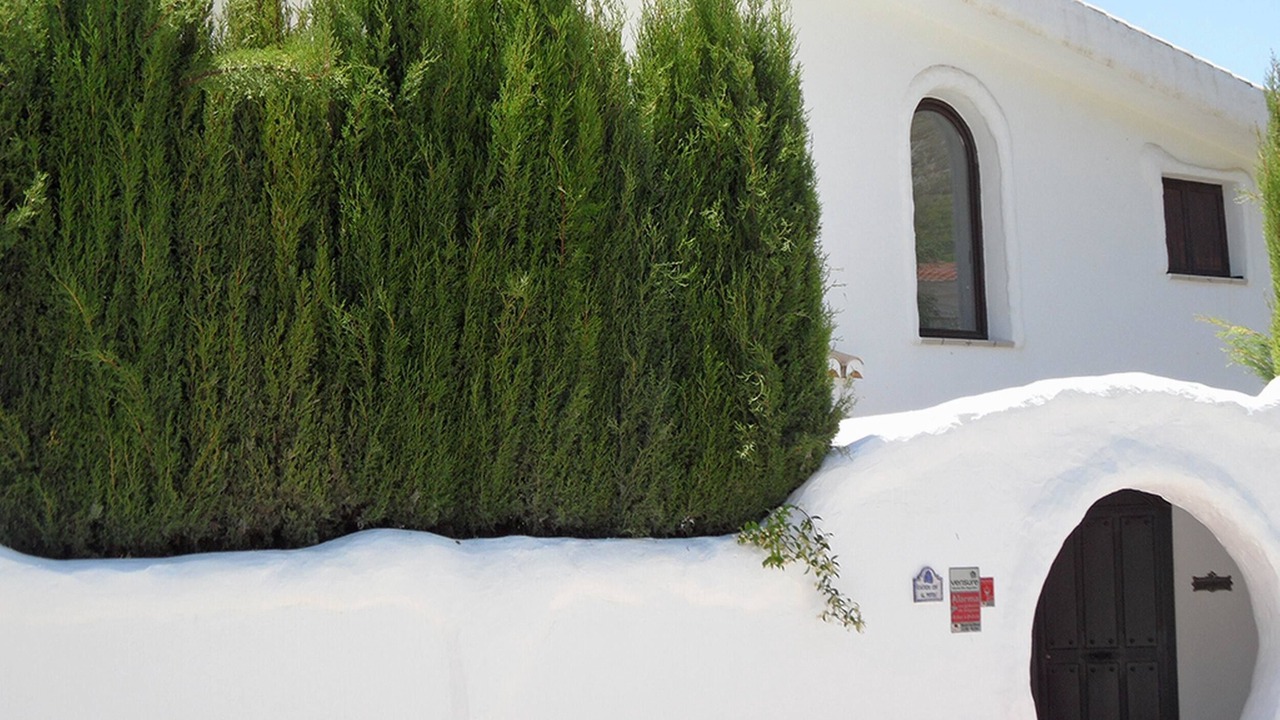 Photo of Outdoor in Padul