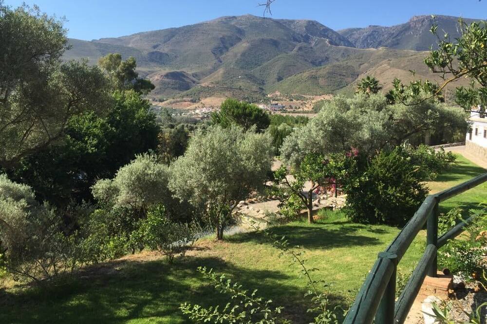 Photo of Outdoor in Orgiva