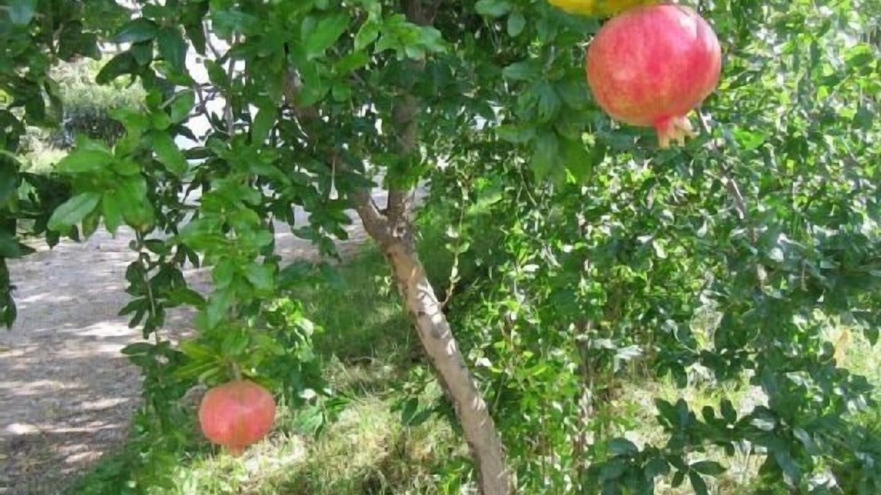 Photo of Outdoor in Monachil