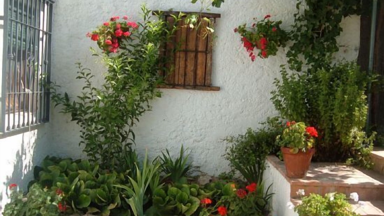Photo of Outdoor in Monachil
