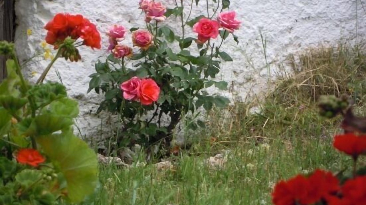Photo of Outdoor in Monachil