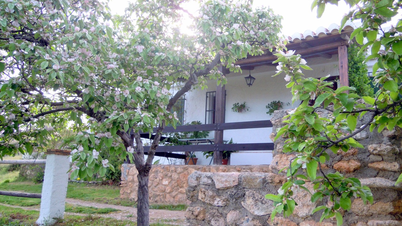 Photo of Outdoor in Monachil
